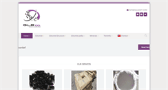 Desktop Screenshot of gilsonit.com